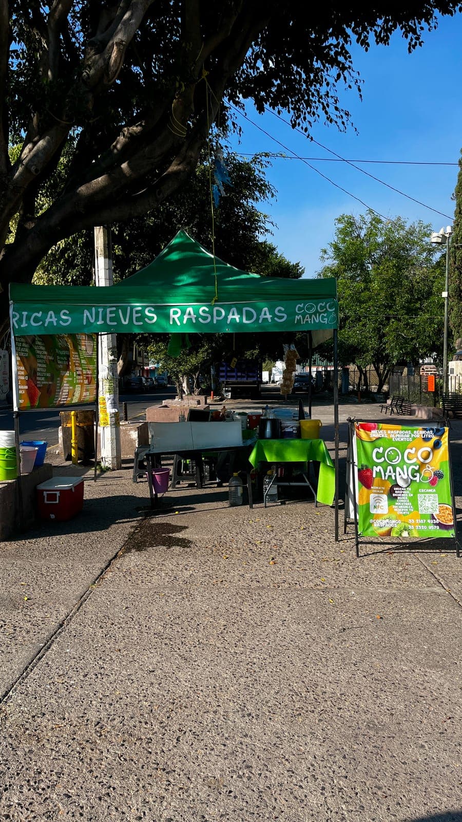 Nieves raspadas naturales en el puesto de Coco Mango, Zapopan